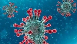 İngiltere 'Molnupiravir' koronavirüs ilacına onay veren ilk ülke oldu
