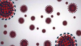 Almanya günlük 37 bin 120 yeni koronavirüs vakasıyla rekor kırdı