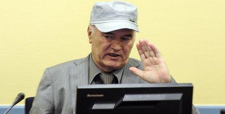 BM'den Sırbistan'da savaş suçlusu Mladic'in duvar resminin korunmasına tepki