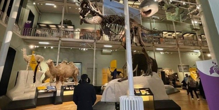 İskoçya Ulusal Müzesi, doğa, tarih ve bilimi tek çatı altında topluyor