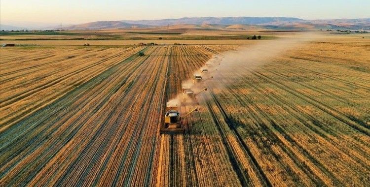 Tarım-ÜFE yıllık yüzde 23,10 arttı