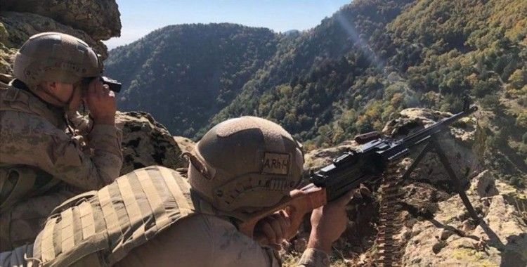 'Eren Kış-3 Şehit Jandarma Binbaşı Ercan Kurt Lice-Sağgöze Operasyonu' başlatıldı