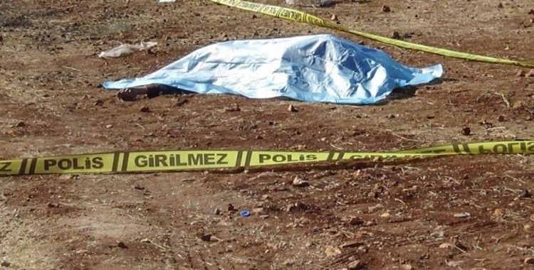 Canice öldürülen kadının kimliği tespit edildi