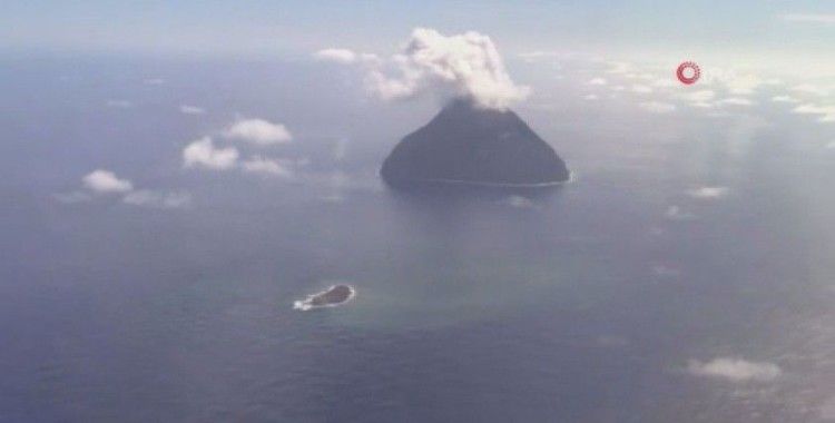 Japonya’da patlayan su altı volkanı deniz yaşamını tehdit ediyor