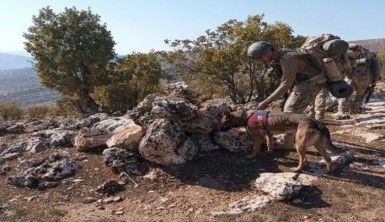 Siirt'te Eren Kış-5 Operasyonu