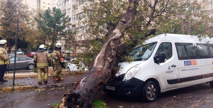 Kadıköy’de kopan ağaç park halindeki İBB aracının üzerine devrildi