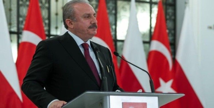 “Türkiye-Polonya-Romanya Meclis Başkanları Toplantısını Türkiye’de yapmayı arzu ediyoruz”