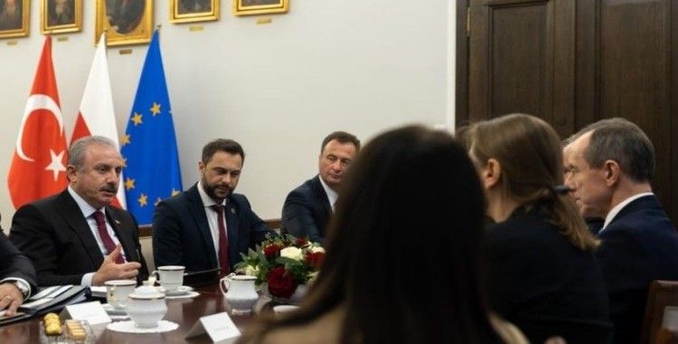TBMM Başkanı Şentop, Polonya Senatosu Başkanı Grodzki ile görüştü