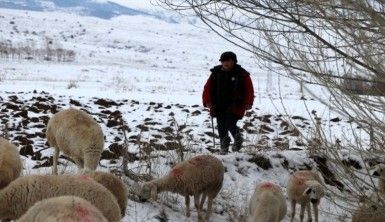 11 yaşındaki çoban dondurucu soğukta sürü güdüyor