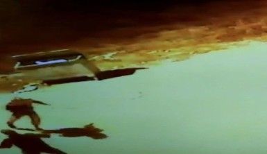 Çocuğun bacağını ısıran pitbull kamerada