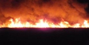 Arjantin'de 4 gündür süren orman yangınında 80 bin hektarlık alan zarar gördü