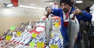 Karadeniz'de en ucuz balığın kilosu 10, en pahalı balığın kilosu 250 TL
