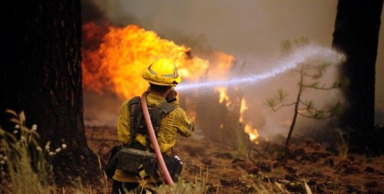 California’daki orman yangınlarına elektrik hattından sıçrayan kıvılcım neden olmuş