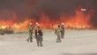 Patagonya yangını 90 bin hektar alanı küle çevirdi