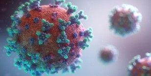 Korona virüsün en hızlı yayılan varyantı omicron
