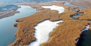 Ağrı Dağı Milli Parkı'ndaki sulak alanlar kısmen dondu