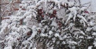 Van’da kar yağışı kartpostallık görüntüler oluşturdu