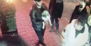 “Gorbi” isimli köpeği çalan hırsızları Beşiktaş polisi yakaladı: Köpek 4 farklı şahsa satılmış