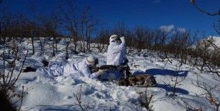 'Eren Kış-16 Bingöl-Sağgöze Şehit Jandarma Binbaşı Adil Karagöz Operasyonu' başlatıldı