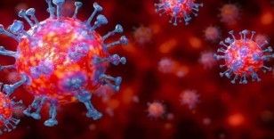 Son 24 saatte koronavirüsten 166 kişi hayatını kaybetti