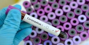 Son 24 saatte koronavirüsten 184 kişi hayatını kaybetti