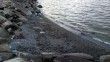 Bandırma’da deniz çekilmesi üç gündür devam ediyor