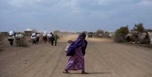BM: Somali'de kuraklık 1 milyondan fazla kişiyi göç etmeye zorlayabilir