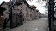 Auschwitz kampında 'Nazi selamı' veren Hollandalı turiste para cezası
