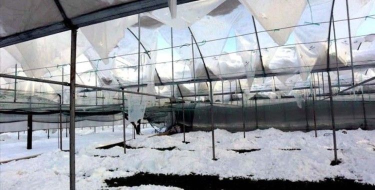 Amasya'da yoğun kar yağışı seralara zarar verdi