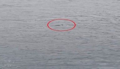 Ukrayna'dan ailesinin yanına gelen Türk öğrenci feribottan denize atlayarak hayatını kaybetti