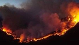 Meksika'da 33 ayrı noktada aktif orman yangını bildirildi