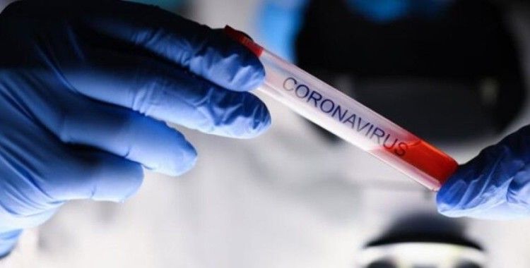 Son 24 saatte koronavirüsten 15 kişi hayatını kaybetti