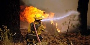ABD'de yangınların vurduğu New Mexico eyaleti 'afet bölgesi' ilan edildi