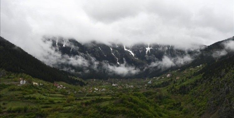 Beyaz örtüyle kaplanan Limni Gölü Tabiat Parkı ziyaretçi akınına uğradı