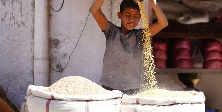 Uzmanlara göre Arap ülkeleri Ukrayna savaşının 'gıda güvenliğine etkilerine' hazırlıksız yakalandı