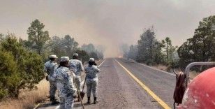 Meksika’da sıcak hava orman yangınlarını artırdı