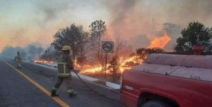 Meksika'da orman yangınları: Aktif yangın sayısı 24 saatte 84'e yükseldi
