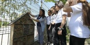 Okul bahçesine inşa ettikleri 'böcek oteliyle' canlıların yaşamını öğreniyorlar