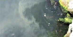 Kanlıca Sahilinde suyun rengi değişti: Kanalizasyon borusu patladı iddiası