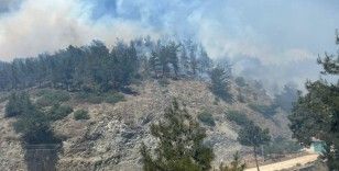 Hatay'da orman yangını kontrol altına alındı