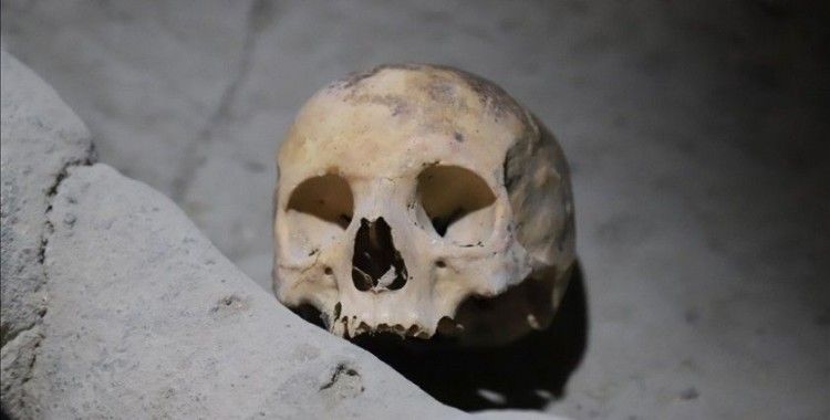 ABD'nin Minnesota eyaletinde 8 bin yıllık kafatası bulundu