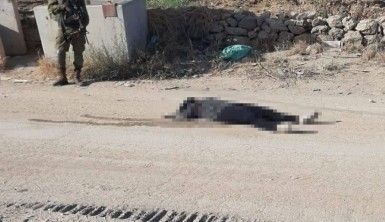 İsrail güçleri Filistinli bir kadını öldürdü