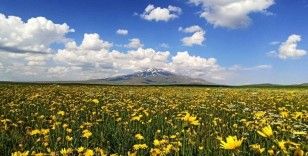 Çiçeklerle renklenen Sütey Yaylası ve Süphan Dağı’ndan hayranlık uyandıran manzaralar