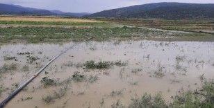 Sağanak yağış ve dolu tarım arazilerini vurdu