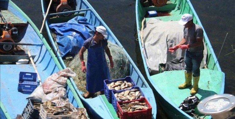 Beyşehir Gölü'nde yeni balık avı sezonu umutlu başladı