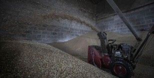 Lübnan, Mısır ve Libya'da 'Ukrayna-Rusya savaşı nedeniyle buğday krizi' endişesi yaşanıyor