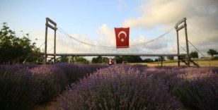 İstanbul’un yanı başındaki Tekirdağ’da mor günler başladı
