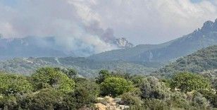 KKTC’de 3 noktada orman yangını