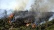 Cezayir’de çıkan orman yangınlarında 2 kişi öldü