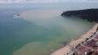 Bartın'da sel nedeniyle sürüklenen atıklar İnkumu sahilinde kirliliğe yol açtı